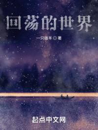 回荡的世界封面