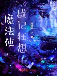 魔法使战记狂想封面