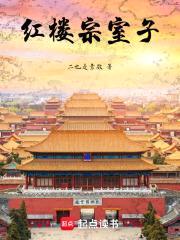 红楼宗室子封面