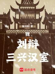 我，刘辩，三兴汉室封面