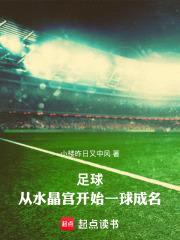 足球：从水晶宫开始一球成名封面
