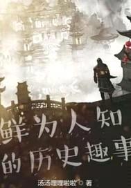 鲜为人知的的历史趣事封面