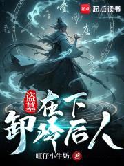 盗墓：在下，卸岭后人封面