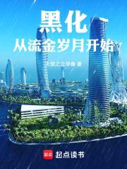 黑化从流金岁月开始封面