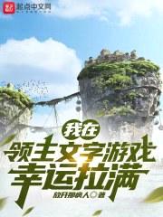 我在领主文字游戏幸运拉满封面