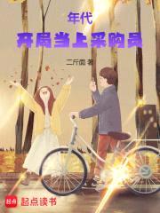 年代：开局当上采购员封面