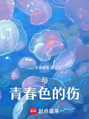 与青春色的伤封面
