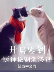 开局签到厨神秘制灌汤包封面