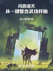 问鼎诸天：从一键整合武功开始封面