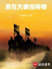 我在大明当帝师封面