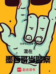 混在墨西哥当警察封面