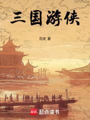 三国游侠封面