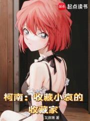 柯南：收藏小哀的收藏家封面