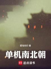单机南北朝封面
