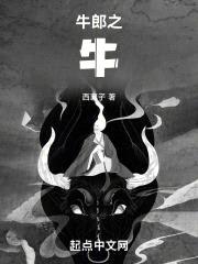 牛郎之牛封面