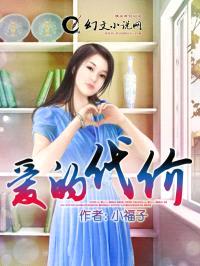 爱的代价封面