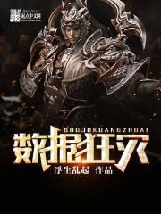 数据狂灾封面