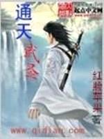 通天武圣封面