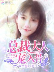 总裁大人，宠入骨！封面