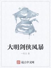 大明剑侠风暴封面